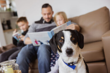 Familie mit Hund Schäferdorf