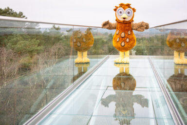 Elli die Eule auf dem Skywalk