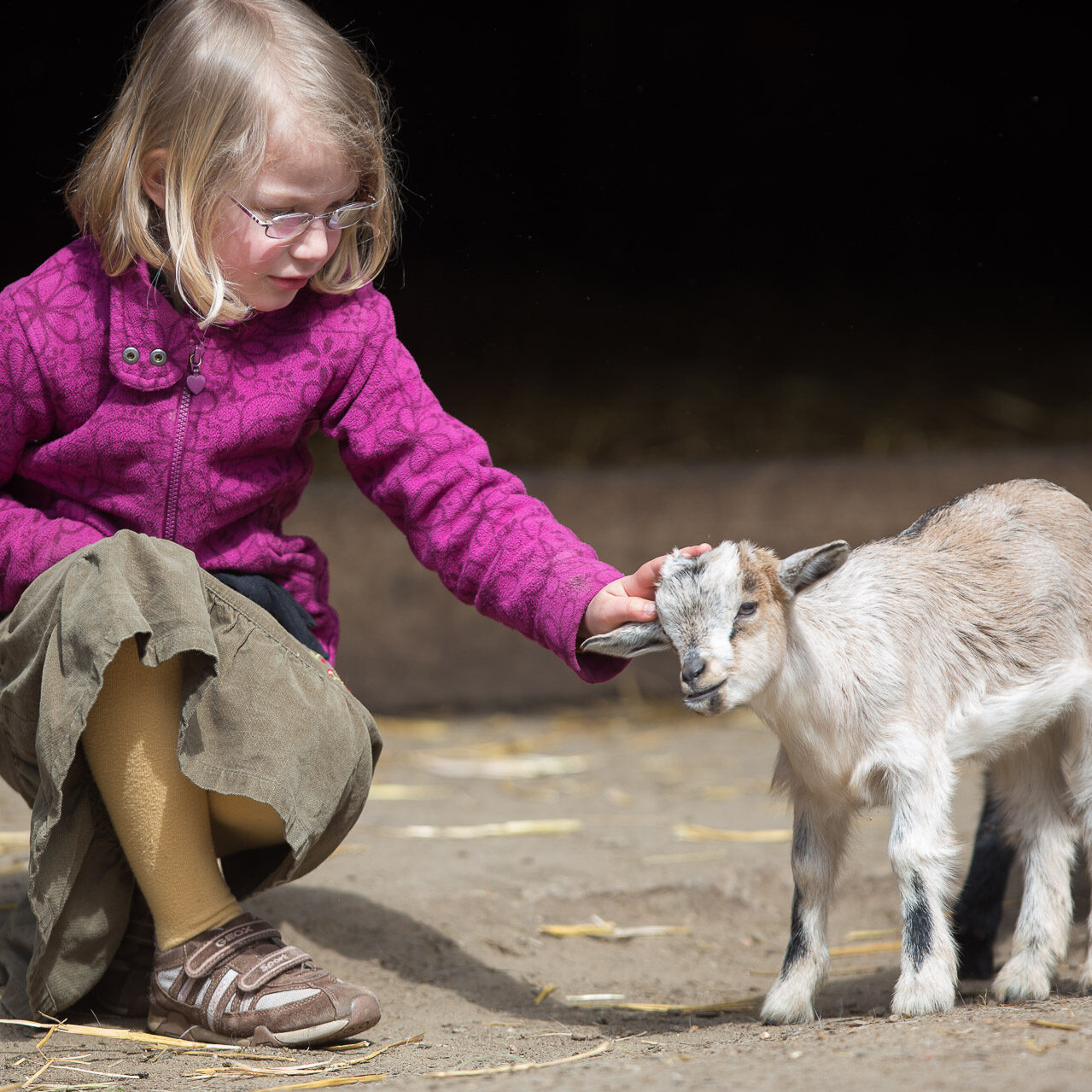 Mädchen streichelt Zicklein