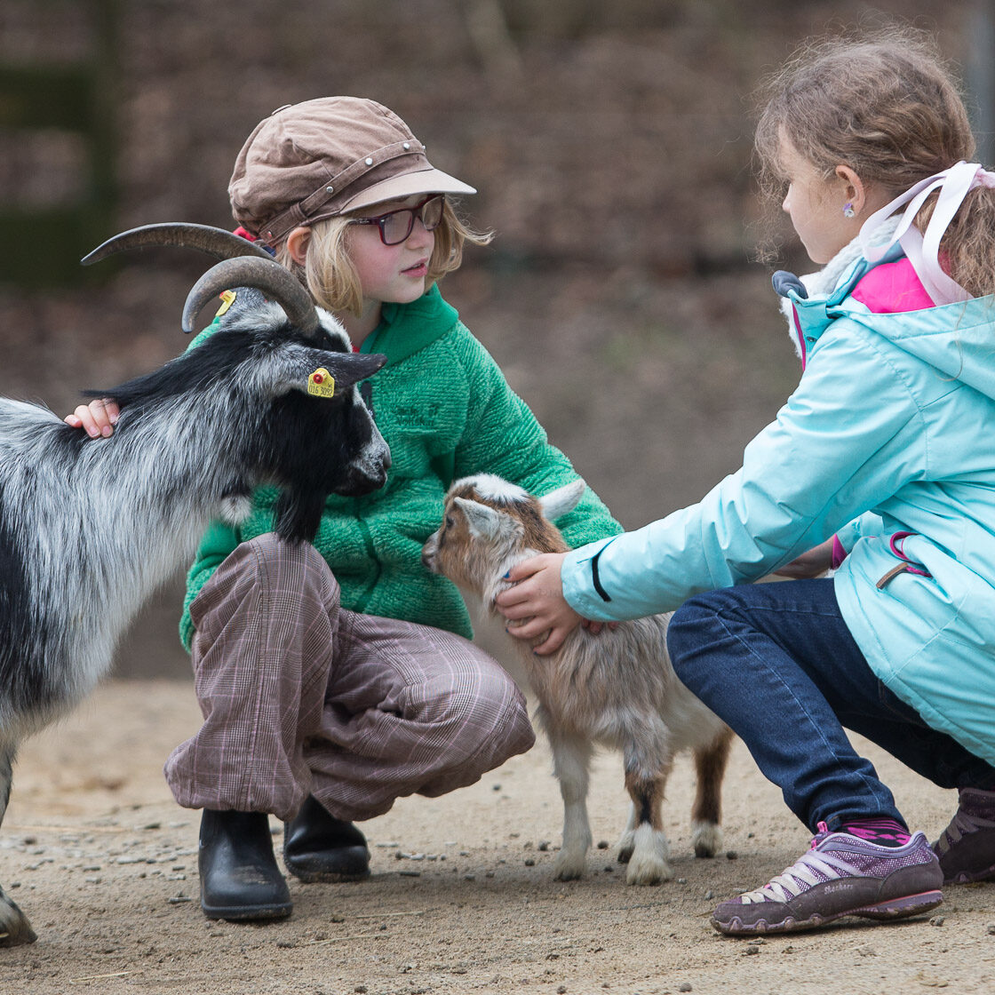 Zwei Kinder im Streichelzoo