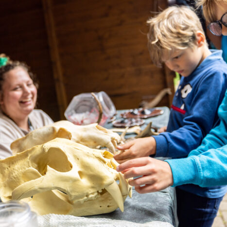 Lernstation Wildpark-Schule