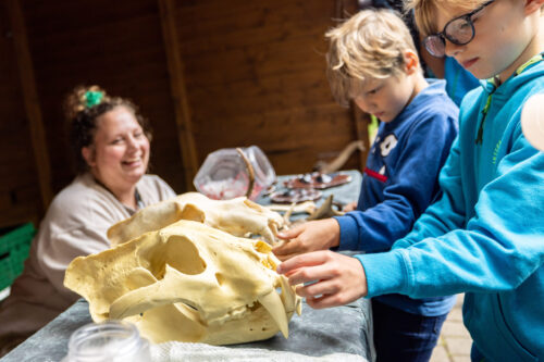 Lernstation Wildpark-Schule