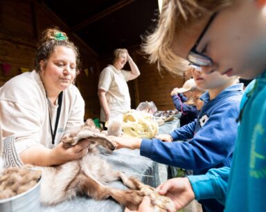 Lernstation Wildpark-Schule