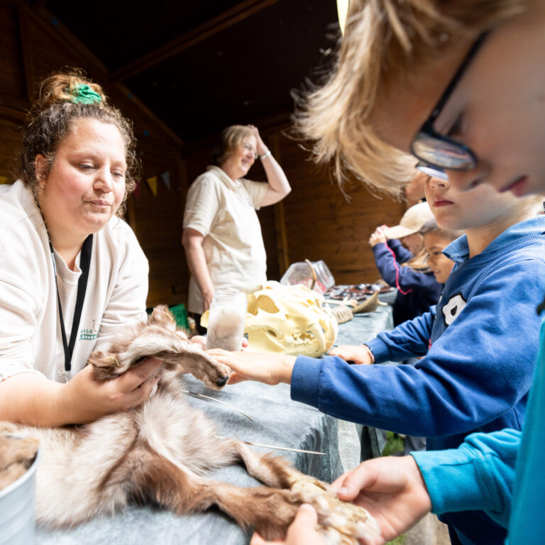 Lernstation Wildpark-Schule