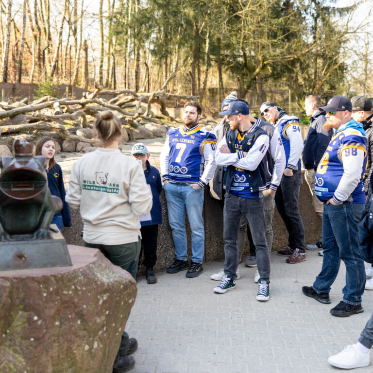 Vortrag über die Vielfraße am Gehege