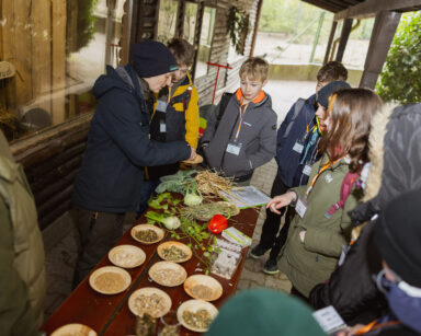 Kinder an Futter-Lernstation