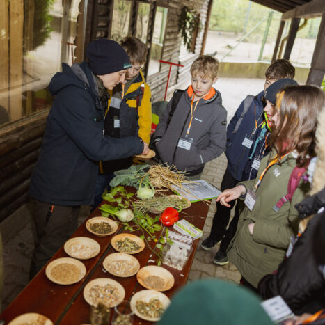 Kinder an Futter-Lernstation