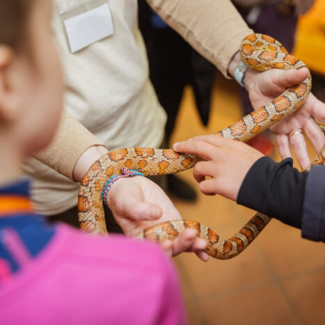 Kinder streicheln Schlange