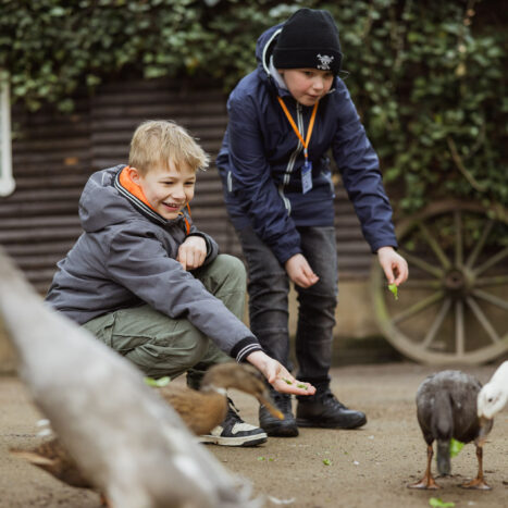 Kinder bei den Laufenten