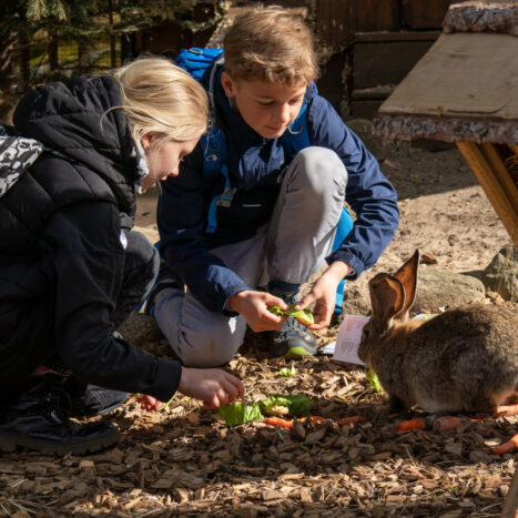 Kinder im Kaninchengehege