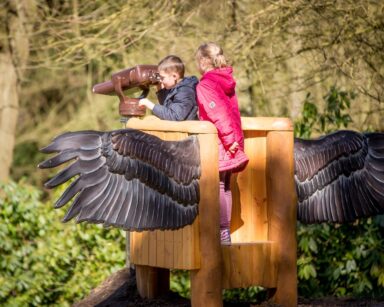 Kinder schauen durch Fernglas beim Pfad der Sinne.
