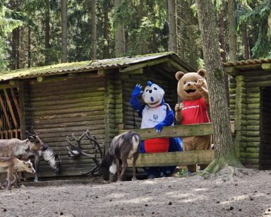 Dino Hermann und Willi Wildpark bei den Rentieren