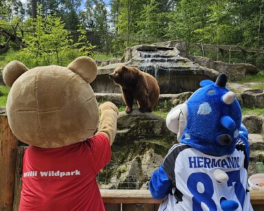 Dino Hermann und Willi Wildpark winken den Kamtschatkabären