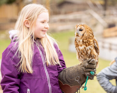 Kind hält einen Uhu