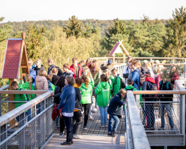 Eine Kindergruppe erkundet den Baumwipfelpfad