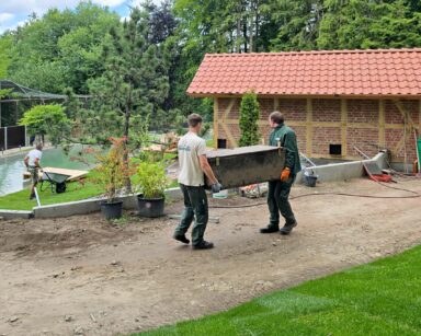 Familie Otter wird in Transportboxen ins neue Gehege gebracht.