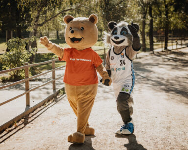 Towers-Maskottchen Willy und Willi Wildpark gehen Hand in Hand durch den Park