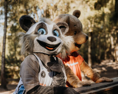Willi Wildpark zeigt Towers Maskottchen Willy das Waschbär-Gehege