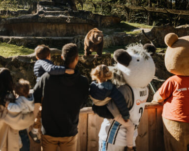 Die Maskottchen der Towers und des Wildparks mit Kenny Ogbe und Familie beobachten die Kamtschatkabären