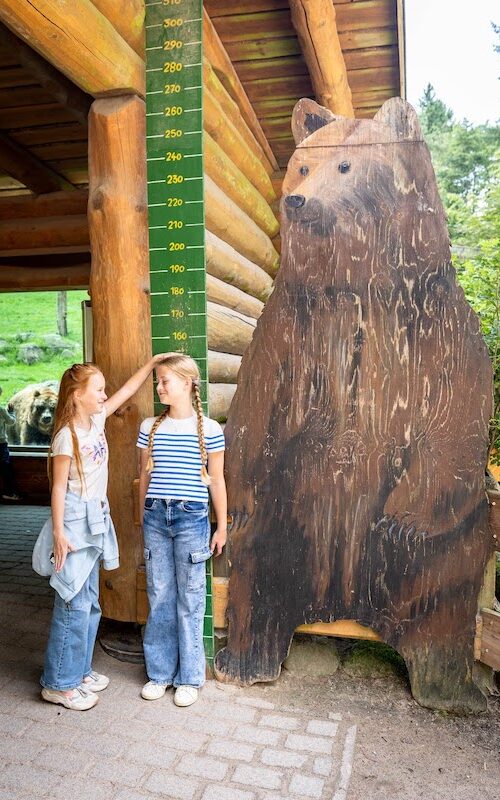 Mädchen misst die Größe der Freundin anhand der Höhentafel neben einer Grizzlybärenfigur