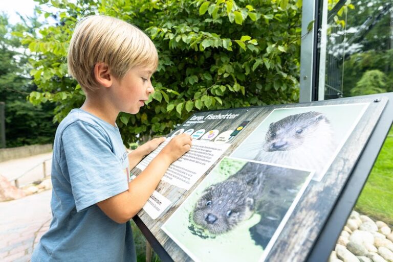 Junge liest Infotafel über Fischotter