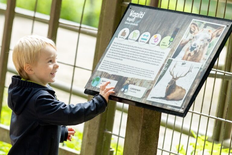 Kleiner Junge schaut auf die Wapiti-Infotafel