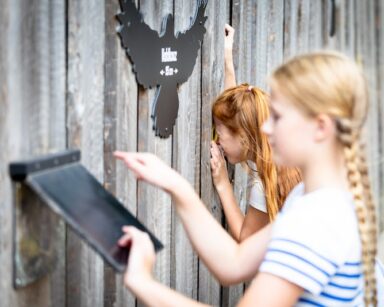 Zwei Mädchen klappen eine Infotafel bzw. schauen durch ein Loch im Holzzaun zum Thema Flugspannweite der Greifvögel