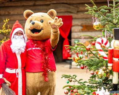 Weihnachtsmann und Maskottchen Willi Wildpark