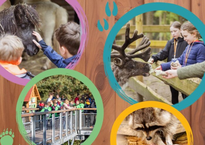 Ferienpass 2026 Titelbild