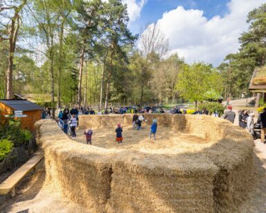 Kinder suchen im großen Heunest nach Ostereiern