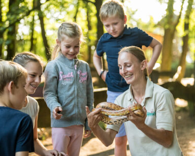 Eine Gruppe Kinder steht um eine Pädagoging mit Schlange in der Hand