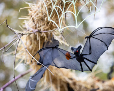 Eine Fledermaus als Halloween Deko im Wildpark