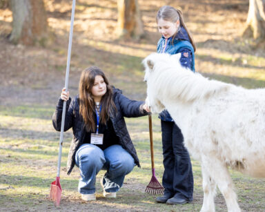 Mädchen streichelt Pony während sie das Gehege säubert